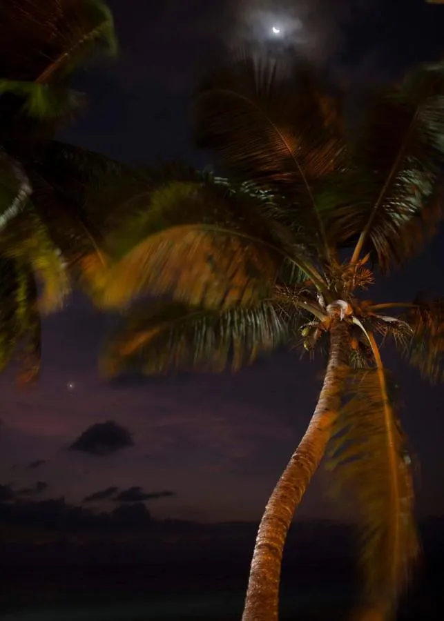 Sables D'Or Luxury Apartments Beau Vallon  Seychelles